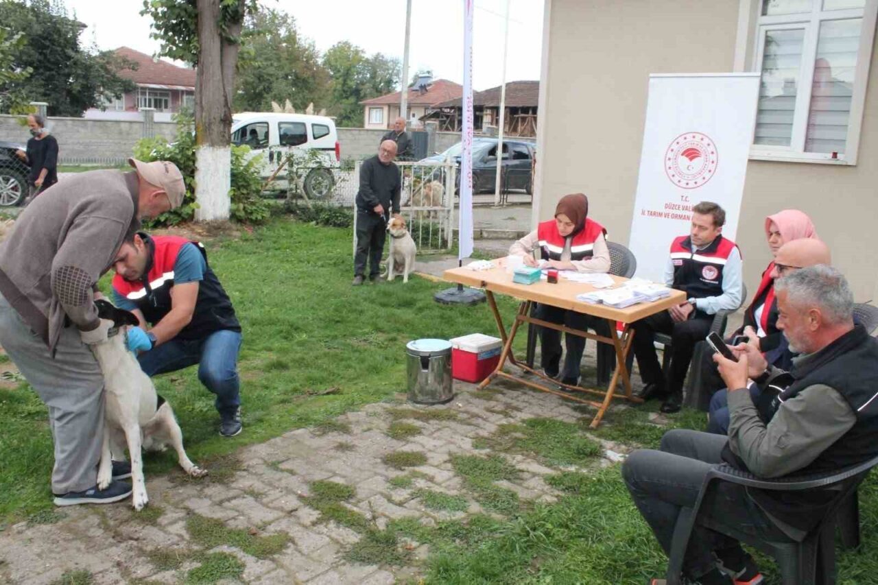 Düzce'de, 5199 sayılı Hayvanları Koruma Kanunu gereği, 13 bin 123