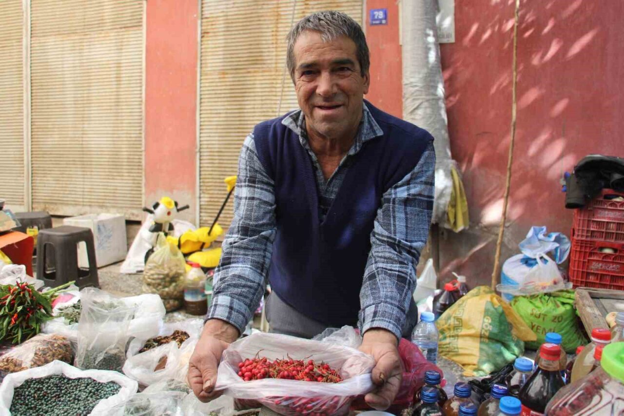 Aydın’ın Efeler ilçesinde kızılcık mevsimi başladı. Kilo fiyatı 150 lira