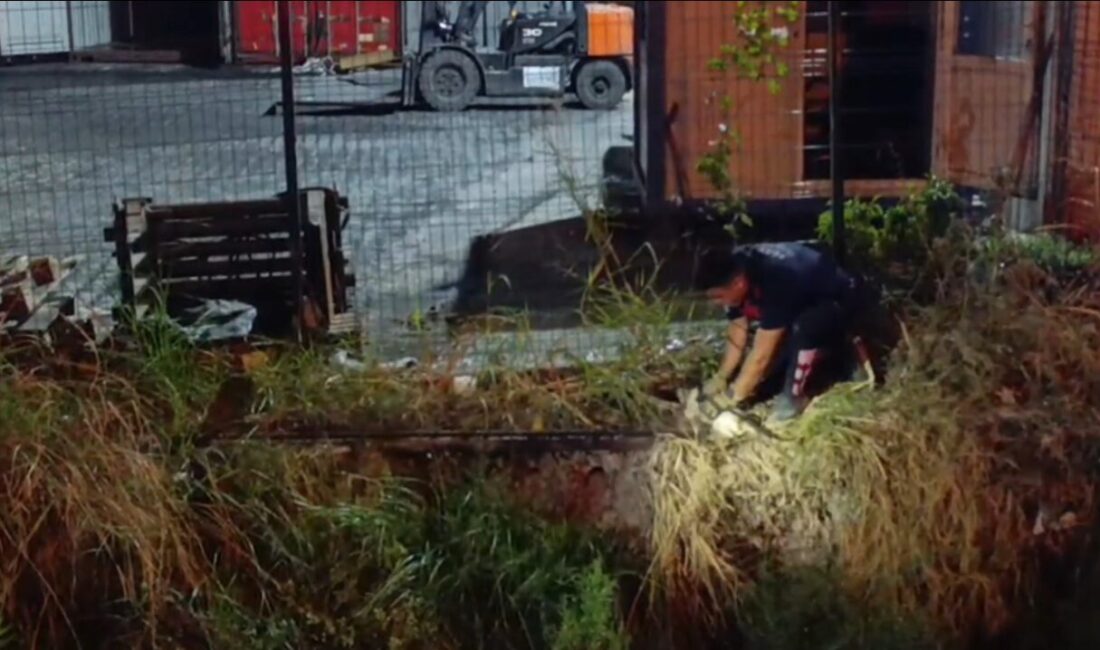 İskenderun’da Su Kanalına Düşen Kedi İtfaiye Ekiplerinin Müdahalesiyle Kurtarıldı Hatay'ın İskenderun ilçesinde bir kedi, su kanalına düştü. Çevredeki vatandaşların