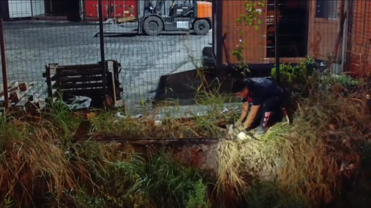 Hatay'ın İskenderun ilçesinde bir kedi, su kanalına düştü. Çevredeki vatandaşların