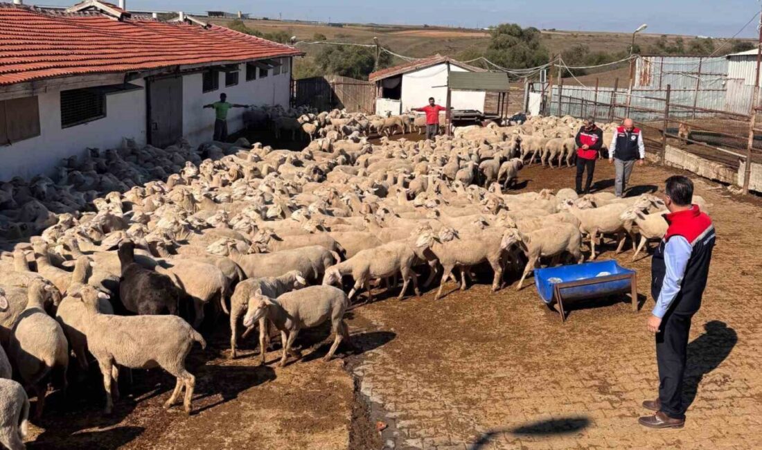 Tekirdağ Tarım ve Orman İl Müdürü Mehmet Aksoy, Çorlu'nun Şahpaz