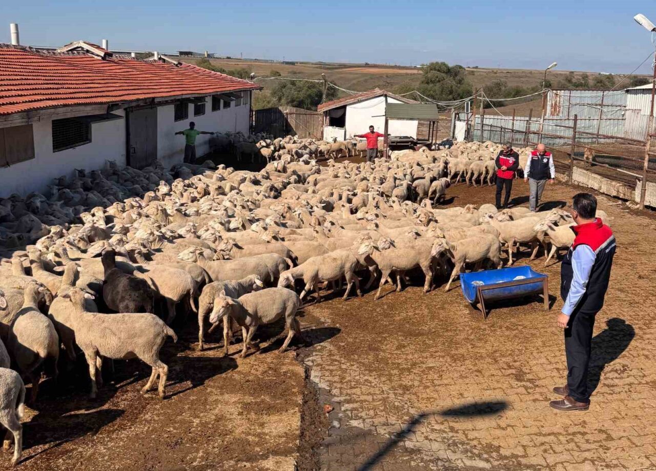 Tekirdağ Tarım ve Orman İl Müdürü Mehmet Aksoy, Çorlu'nun Şahpaz