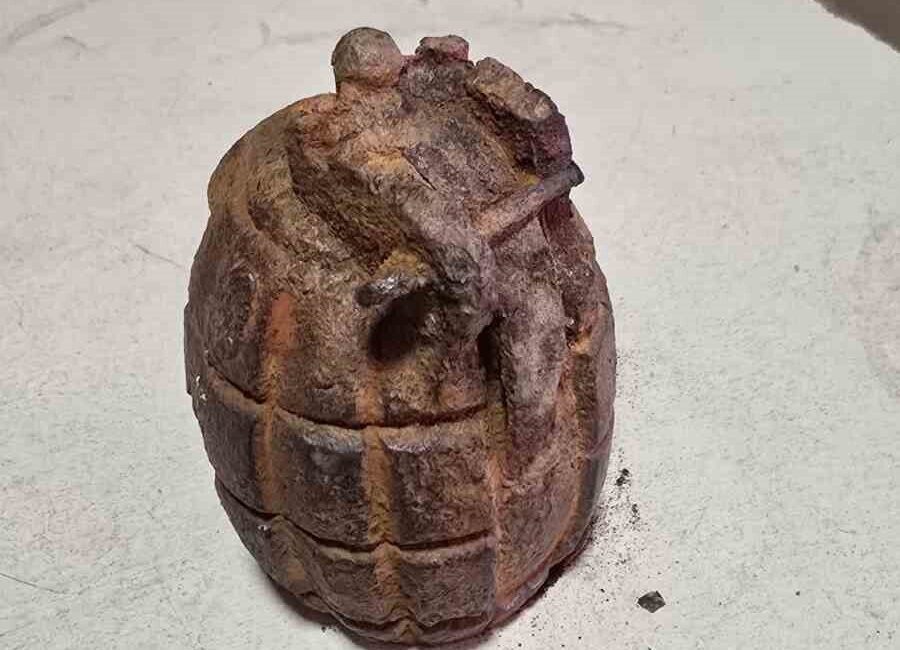 İzmir'in Tire ilçesinde 10 yaşındaki bir çocuk, ailesinin tarlasında bulduğu