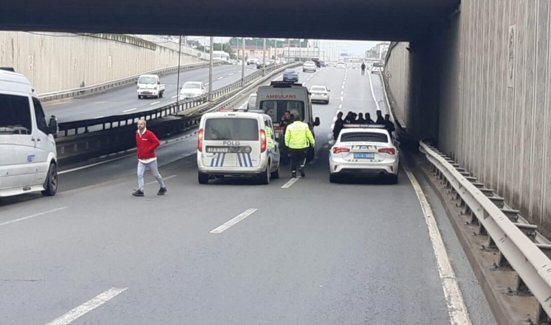 Kocaeli'nin Körfez ilçesinde 24 yaşındaki bir kadın, bir diğer kadınla