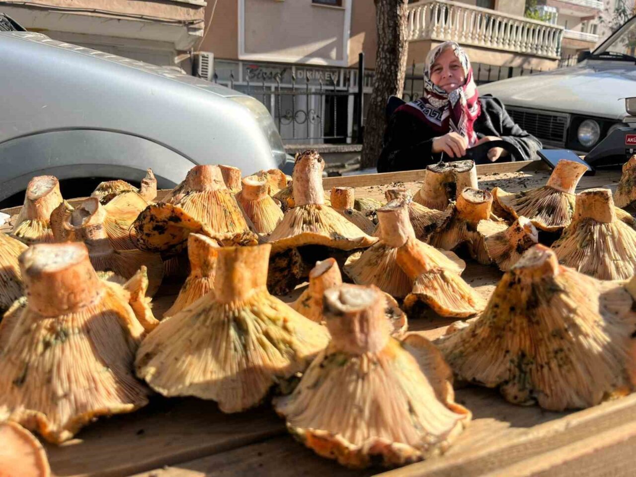Kütahya'nın Tavşanlı ilçesindeki semt pazarında, Melki ve Dedebölük mantarları ilgiyle
