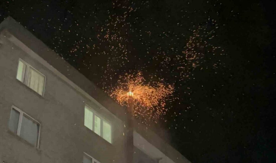 Çorlu’da İşyerinin Bacasında Çıkan Yangın Korkuya Neden Oldu Tekirdağ'ın Çorlu ilçesinde bir simitçi dükkanına ait bacada çıkan yangın,