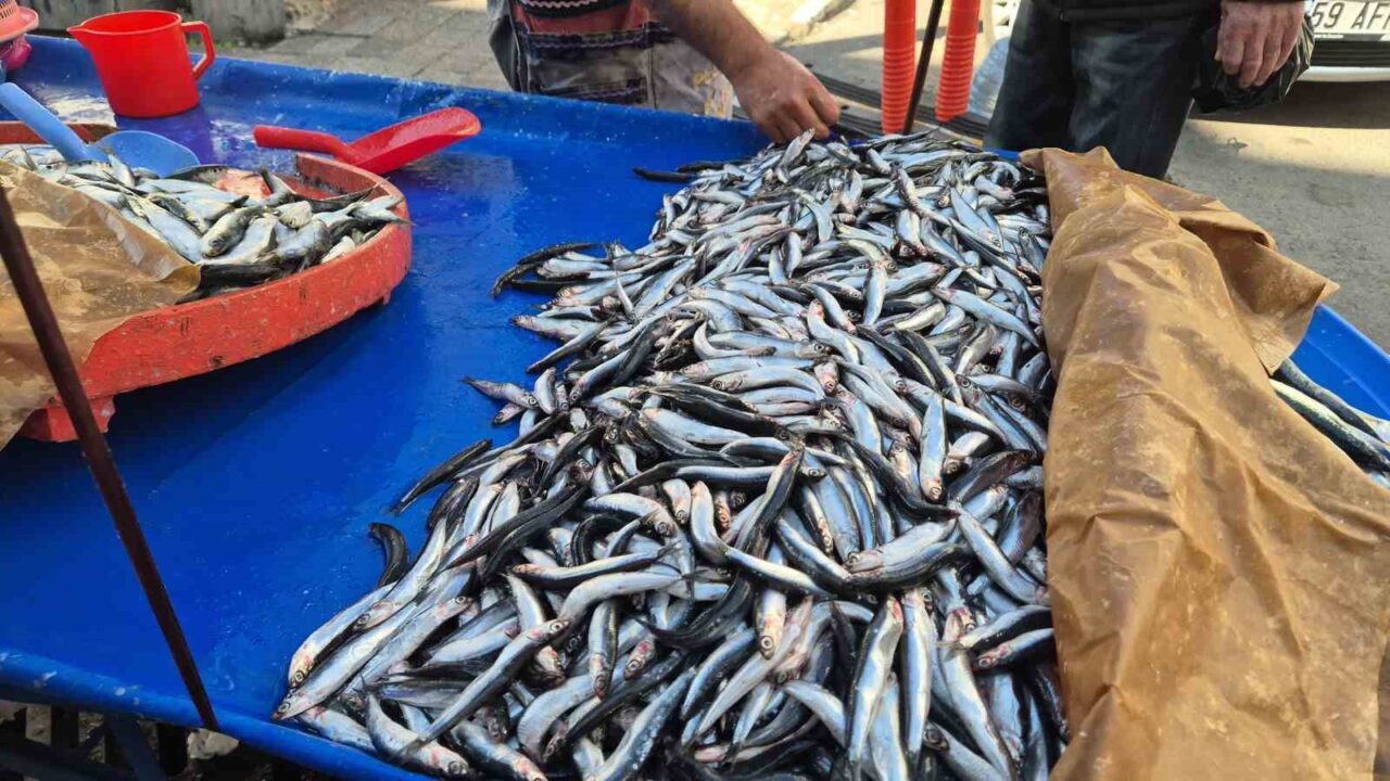 Tekirdağ'ın Süleymanpaşa ilçesinde hamsi ve sardalya tezgahlarda 150 liradan satılıyor.