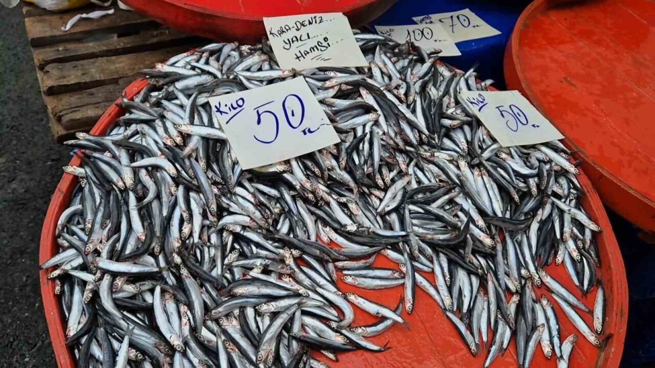 Tekirdağ'ın Süleymanpaşa ilçesinde hamsi fiyatları akşam pazarıyla birlikte 50 liraya