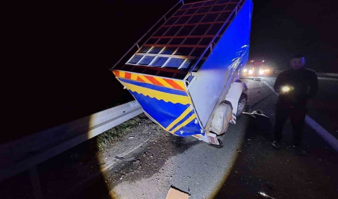 TEM Otoyolu Bolu geçişinde sürücü Tuncay Ö.'nün kontrolünü kaybetmesi sonucu
