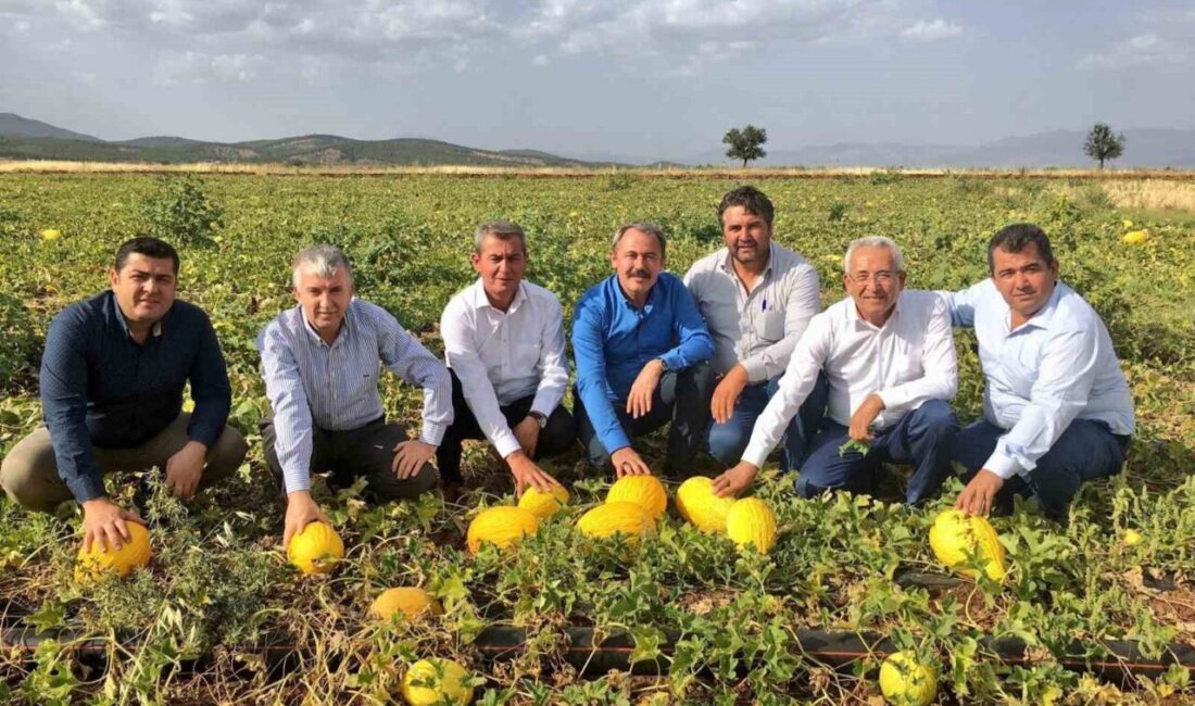Acıpayam Kavunu, Denizli’nin Yöresel Ürünü Olarak Coğrafi İşaret ile Tescillendi Denizli'nin Acıpayam ilçesinde üretilen Acıpayam Kavunu, TÜRKPATENT tarafından coğrafi işaret