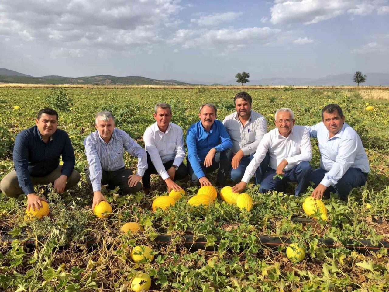 Denizli'nin Acıpayam ilçesinde üretilen Acıpayam Kavunu, TÜRKPATENT tarafından coğrafi işaret