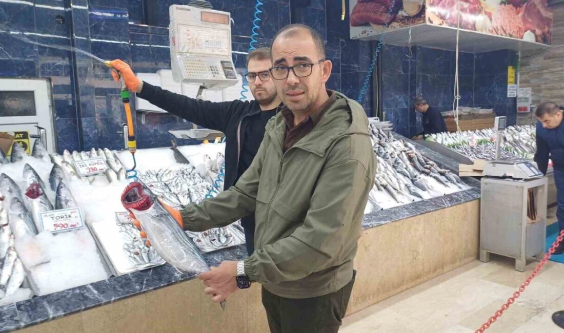 Kayseri’de Hamsi Bolluğu, Tezgahlarda Fiyatlar 100 ile 200 TL Arasında Değişiyor Kayseri'de hamsi bolluğu dikkat çekiyor; hamsi fiyatları 100 ile 200