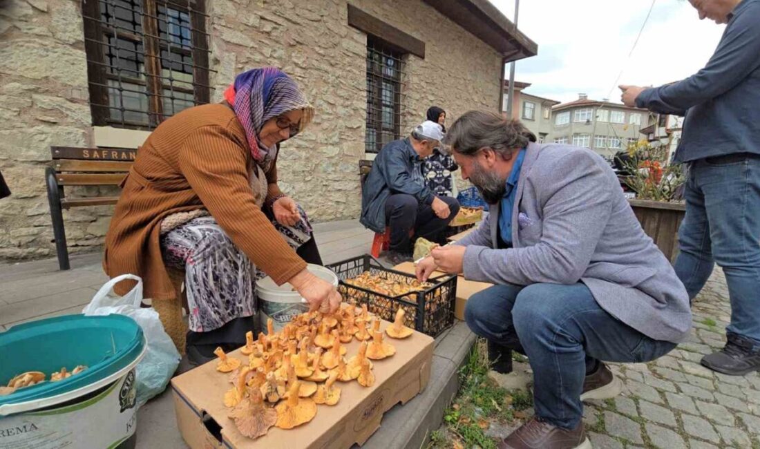 Safranbolu’da Kanlıca Mantarının Yüksek Fiyatlarıyla Pazarda Yerini Aldığı Bildirildi Safranbolu'da bu yıl bol miktarda çıkan kanlıca mantarı, eski perşembe