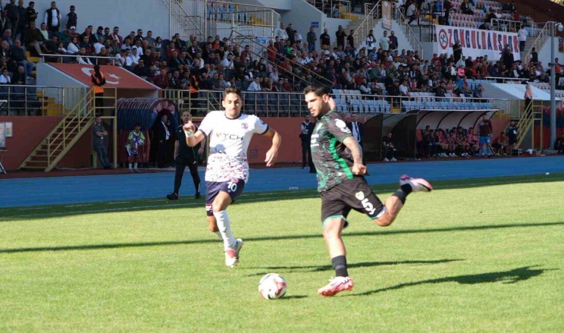 TFF 3. Lig 3. Grup'ta Zonguldakspor, Amasyaspor'a 2-1 yenilerek sahadan