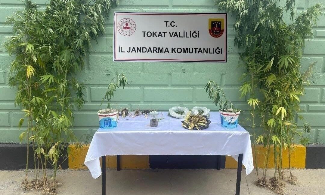 Tokat'ta jandarma, son iki ayda uyuşturucu suçlarına karışan 56 kişiyi