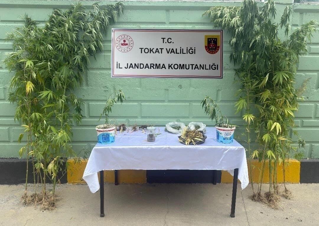 Tokat'ta jandarma, son iki ayda uyuşturucu suçlarına karışan 56 kişiyi