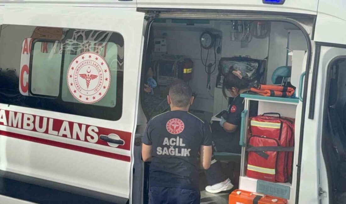 Tokat'ta, evinde tavuk yedikten sonra fenalaşan 70 yaşındaki M. e,