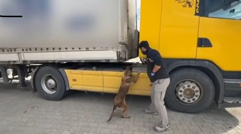 Kastamonu'nun Tosya ilçesinde gerçekleştirilen operasyonda, bir tırın dorsesinde 1 kilo