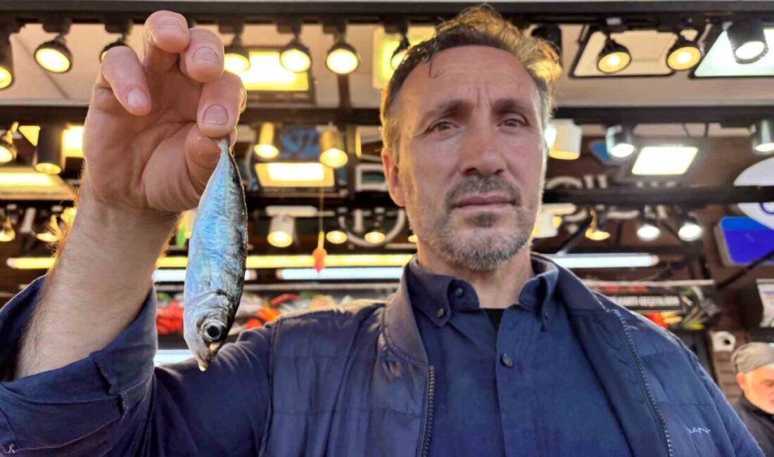 Trabzon’da Denetim Sonrası Ceza Şoku: 11 Balıkçıya 415 Bin TL İdari Para Cezası Kesildi Trabzon'un Ortahisar ilçesinde balık satış yerlerinde denetim sonrası 11 balıkçıya