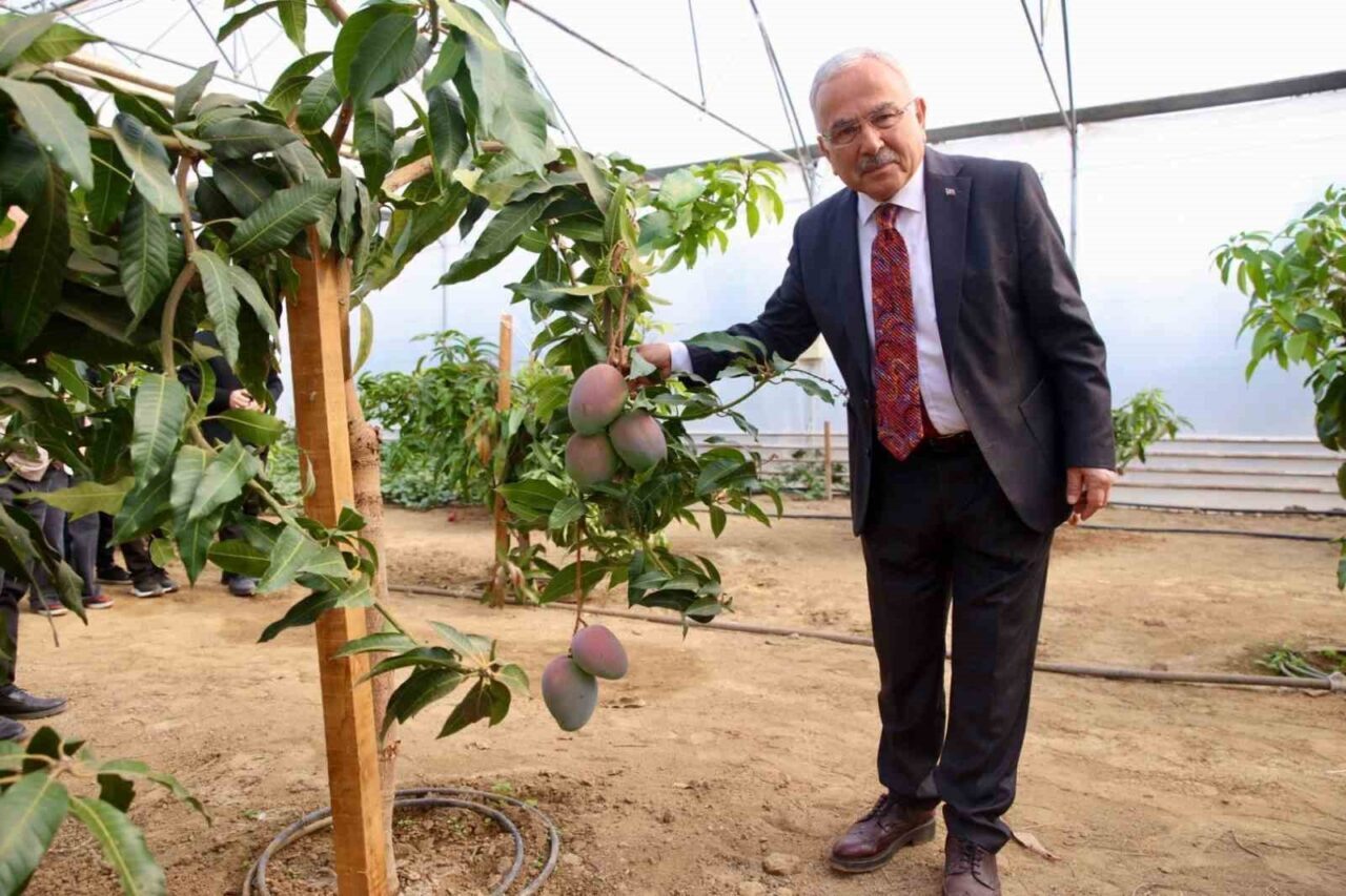 Ordu Büyükşehir Belediyesi, kurduğu seralarla tarıma olan ilgiyi artırarak gençlere