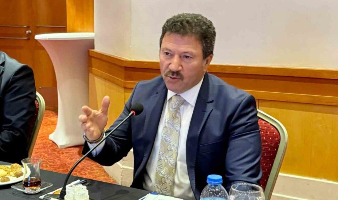 Türkiye Şoförler ve Otomobilciler Federasyonu (TŞOF) Genel Başkanı Mehmet Yiğiner