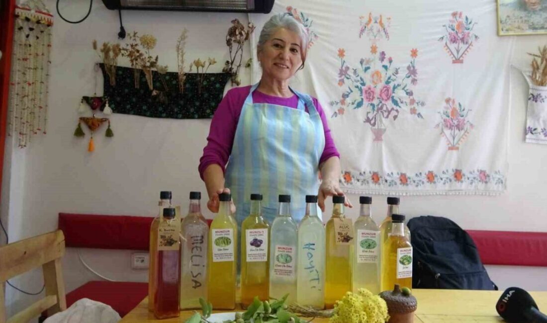 Tunceli’den Saniye İldeniz, Doğal Bitkileri Sirkeye Dönüştürerek Geçimini Sağlıyor Tunceli’nin Aktarla köyünde yaşayan 60 yaşındaki Saniye İldeniz, yerel bitkileri