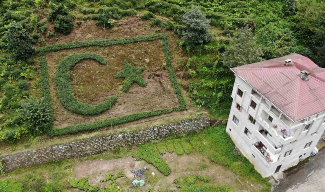 Rize'nin Çayeli ilçesi Çeşmeli köyünde, Şevki Yılmaz Gürel, çay fidanlarıyla