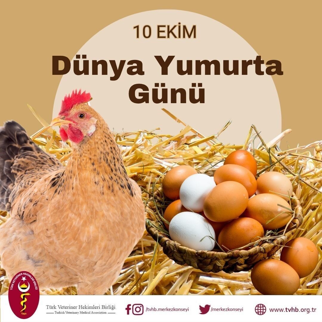 Türk Veteriner Hekimleri Birliği Başkanı Ali Eroğlu, her yıl Ekim