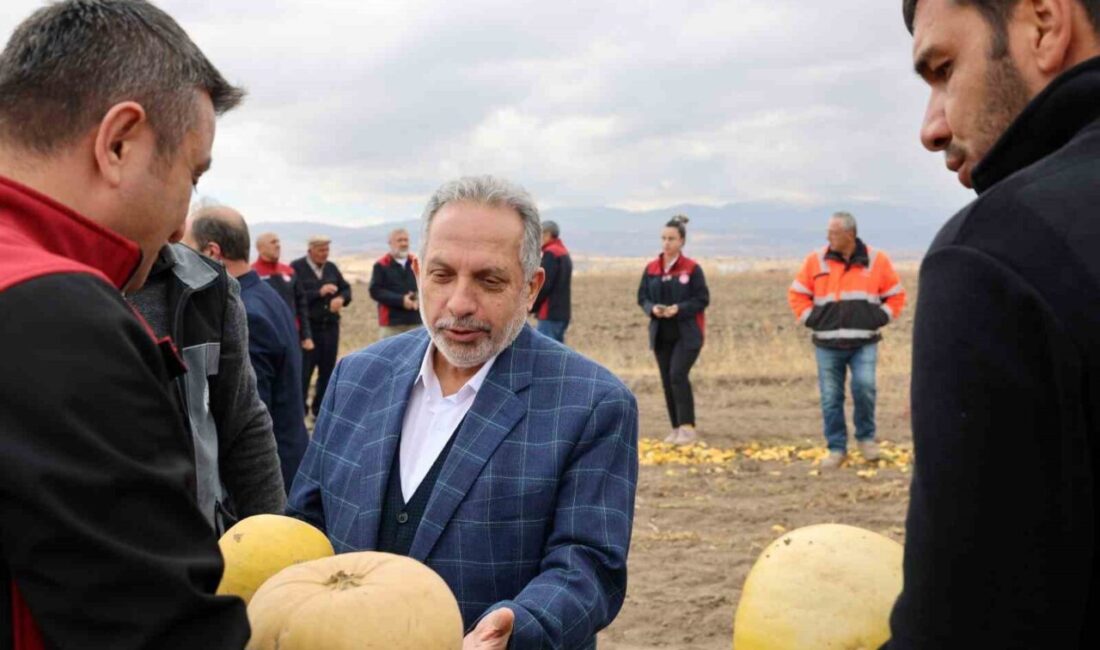 Talas Belediye Başkanı Mustafa Yalçın, Türkiye'nin en fazla kabak çekirdeği