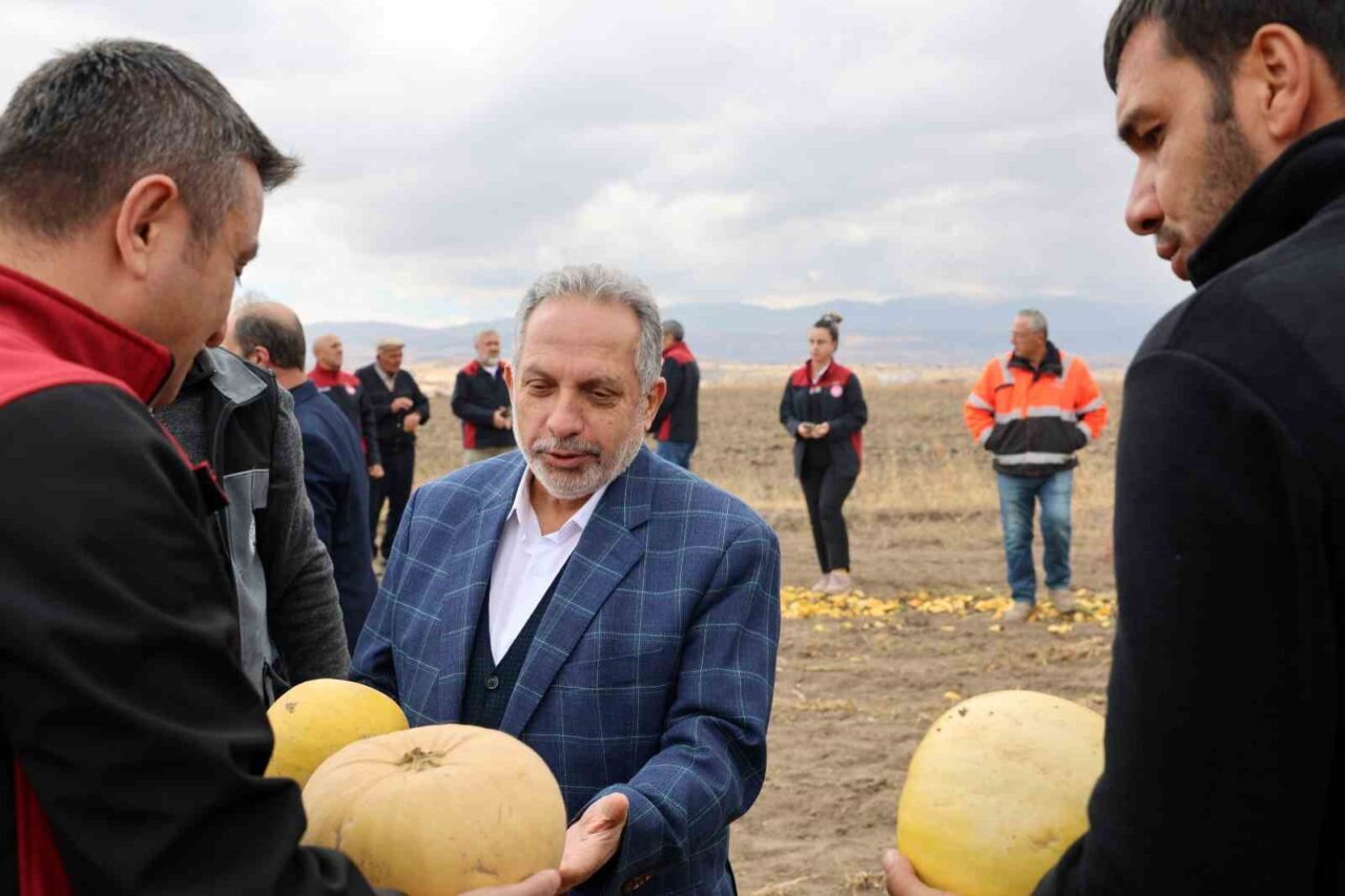 Talas Belediye Başkanı Mustafa Yalçın, Türkiye'nin en fazla kabak çekirdeği