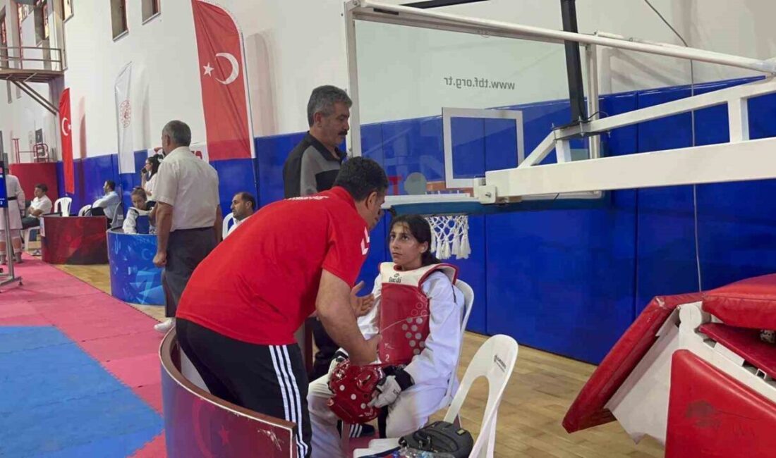 Türkiye Taekwondo Federasyonu'nun 2025 faaliyet programı çerçevesinde düzenlenen Türkiye Kulüpler