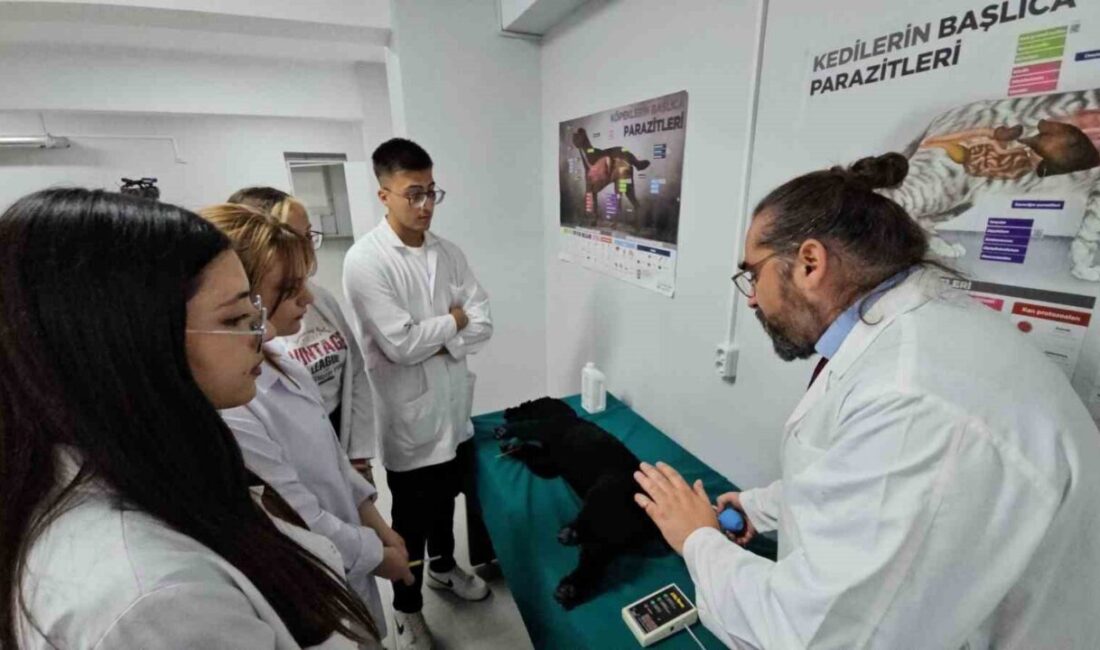 Zonguldak Bülent Ecevit Üniversitesi, Türkiye'de bir ilke imza atarak Çaycuma