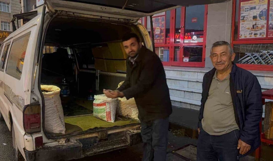 Zonguldak'ın Alaplı ilçesinde toplanan coğrafi işaretli "Alaplı kuzusu" kestanesi, 200-500