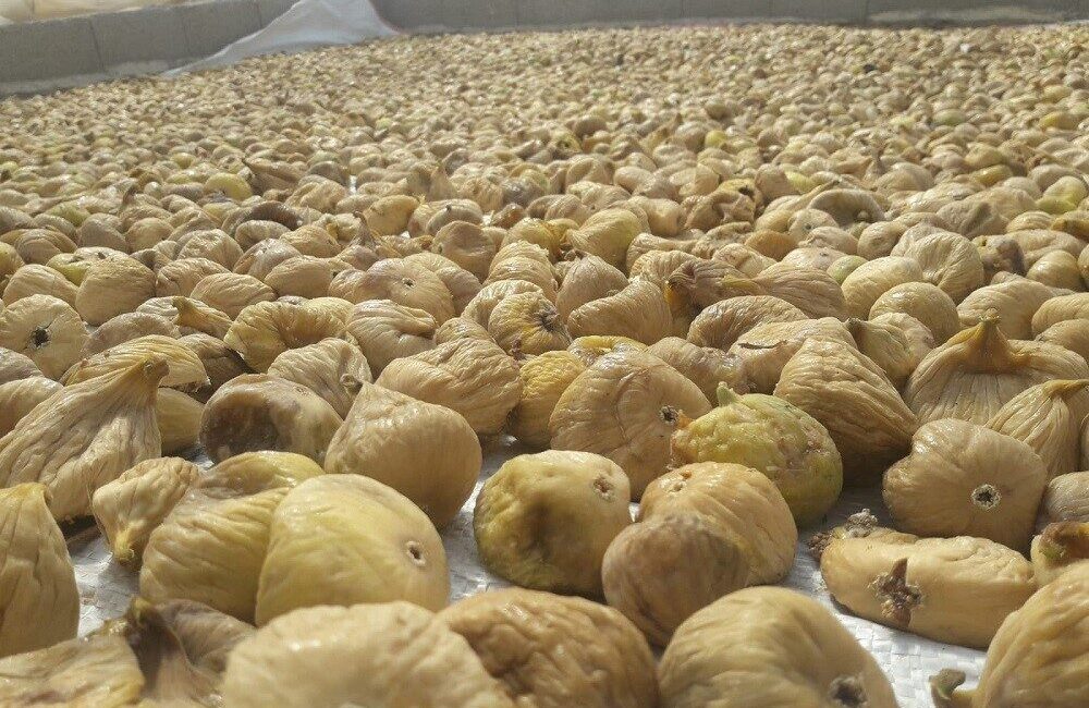 Aydın Ziraat Odası Başkanı Mehmet Kendirlioğlu, bu yıl Türkiye'nin milli