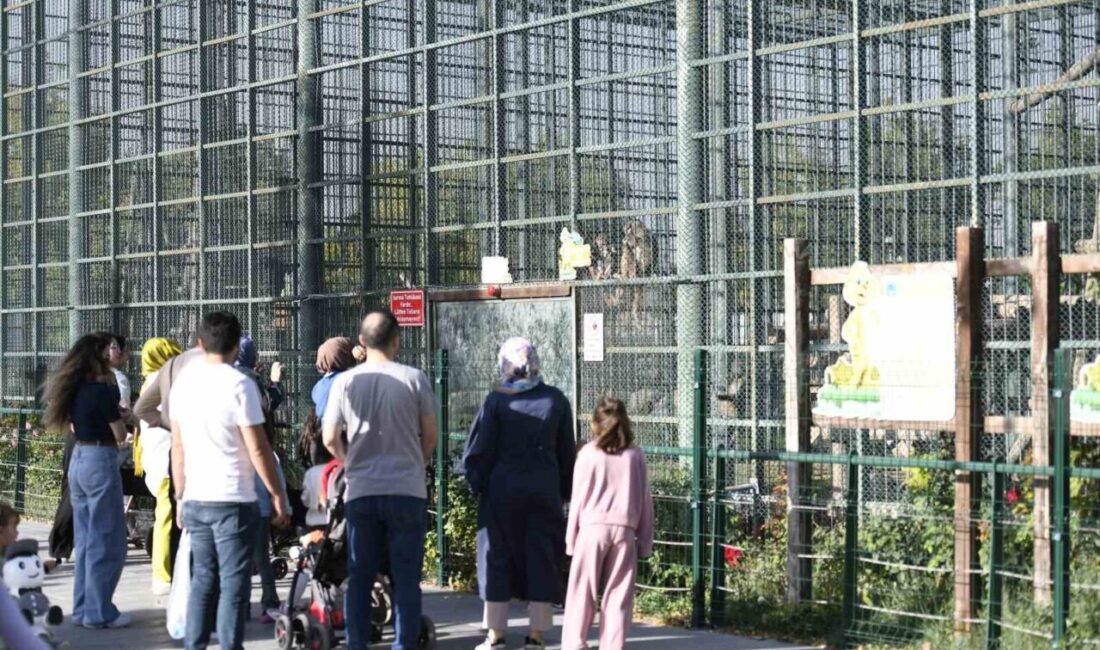Kayseri Büyükşehir Belediye Başkanı Dr. Memduh Büyükkılıç'ın talimatıyla, 4 Ekim
