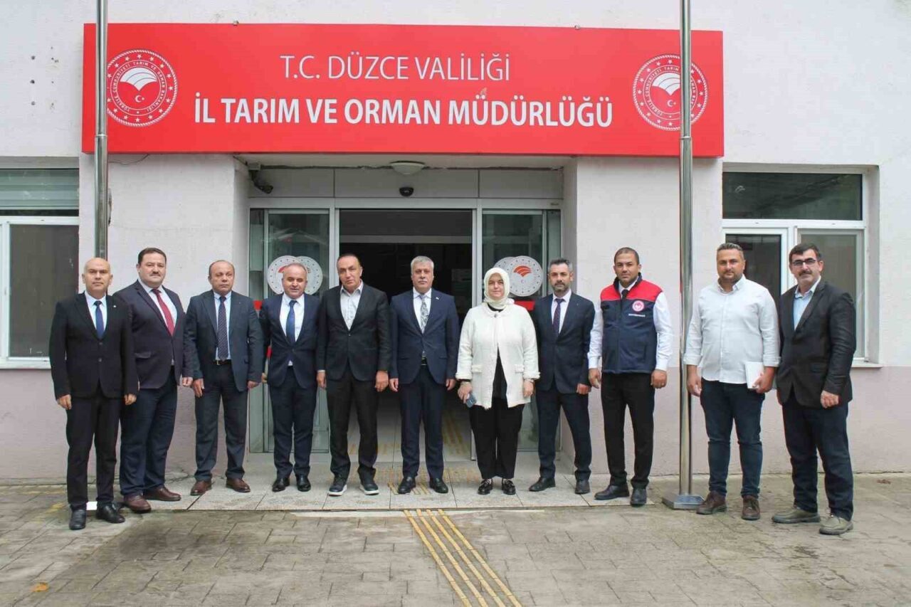 Düzce'de 2021'den itibaren fındık alanlarında zarar veren Kahverengi Kokarca ile