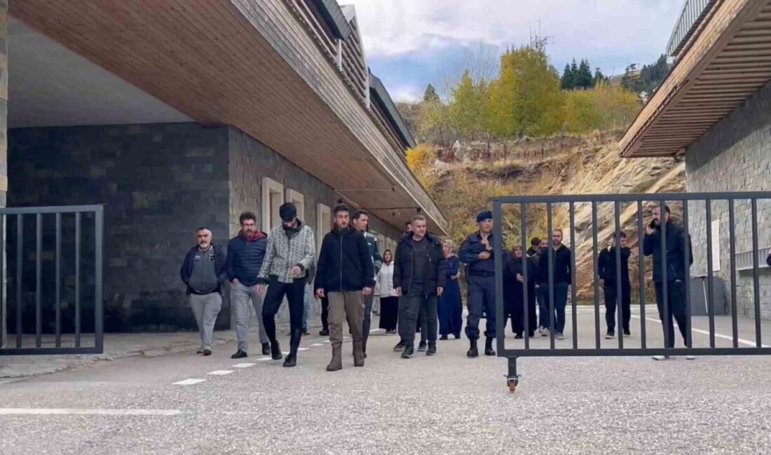 Bursa'da Uludağ'da kestane toplamaya giden Eyüp K. (19) ve Mert