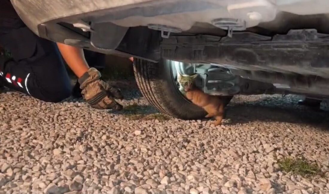 Hatay’da Motoruna Sığınan Yavru Kedi, İtfaiye Ekiplerinin Çabaları Sonrasında Kurtarıldı Hatay'ın Arsuz ilçesinde, bir aracın motoruna sığınan yavru kedi itfaiye