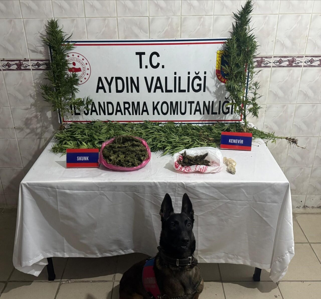 Aydın’ın Nazilli ilçesinde jandarma, Aşağıyakacık Mahallesi'nde bir kişinin uyuşturucu imalatı