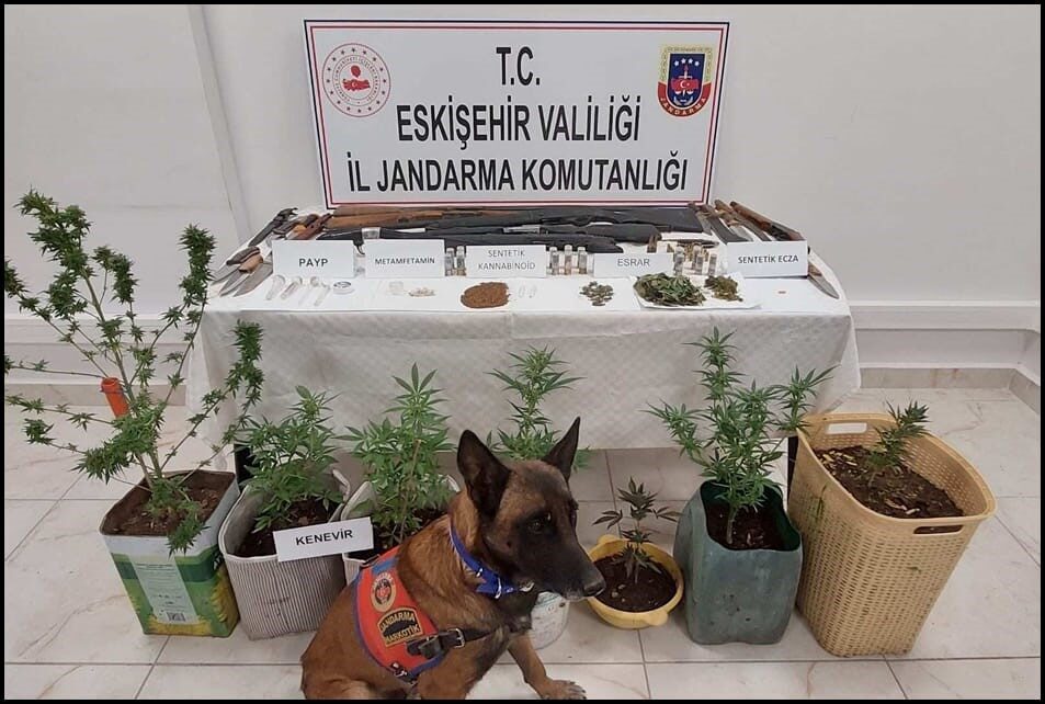 Eskişehir'de jandarma, uyuşturucu madde ve silah bulunduran 7 kişiyi yakaladı.