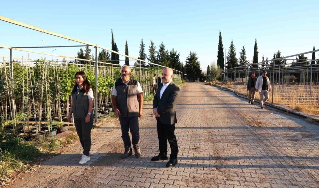 Vali Osman Varol, Hasancık Köyü’ndeki Orman Fidanlık Müdürlüğü’nü Ziyaret Etti Adıyaman Valisi Osman Varol, Hasancık Köyü'ndeki Orman Fidanlık Müdürlüğü’nü ziyaret