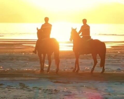 Van Gölü Çevresinde Atlı Jandarma Timleri İle Güvenlik Önlemleri Artıyor