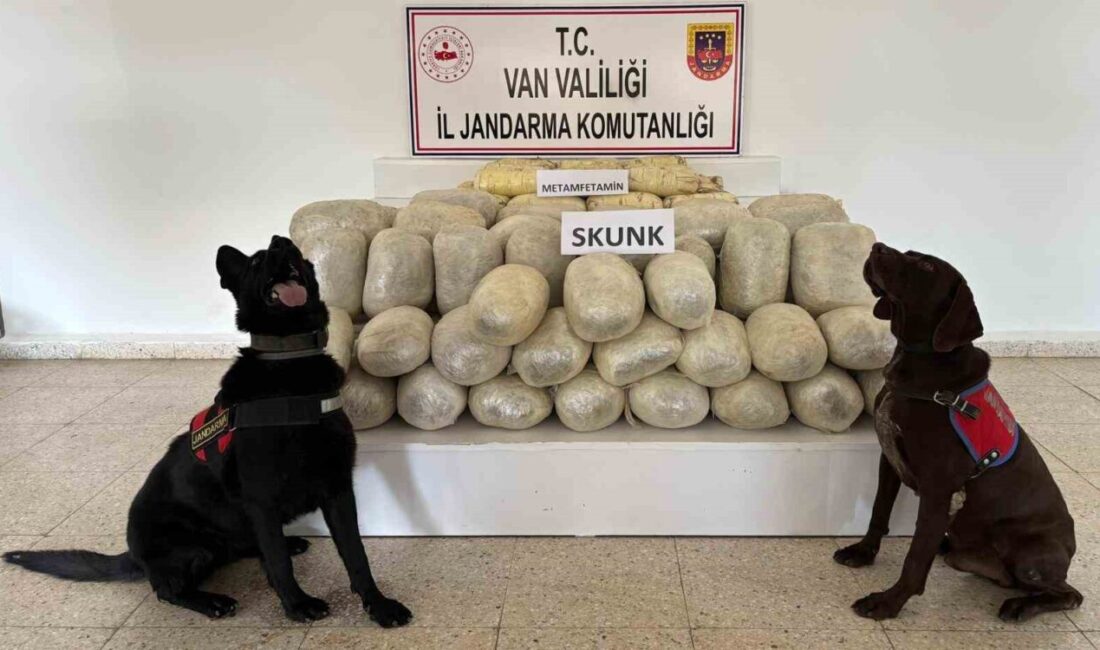 Van’ın Başkale ilçesinde jandarma, düzenlediği bir operasyonda 106.8 kilogram uyuşturucu