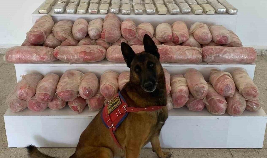 Van'ın Başkale ilçesinde jandarma, 67 kilogram uyuşturucu madde ele geçirerek