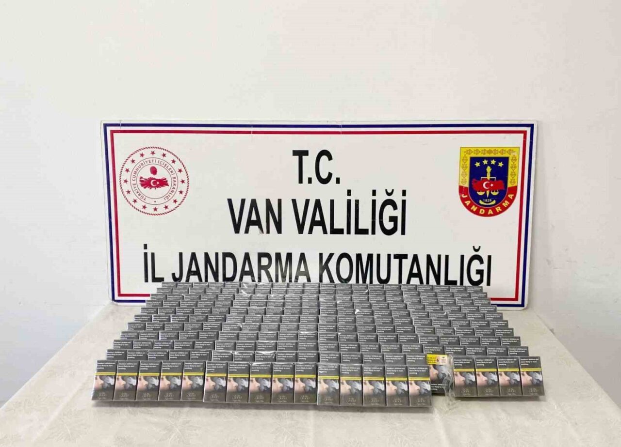Van'ın Başkale ilçesinde jandarma, yol kontrolü sırasında bir otomobilde gizlenmiş