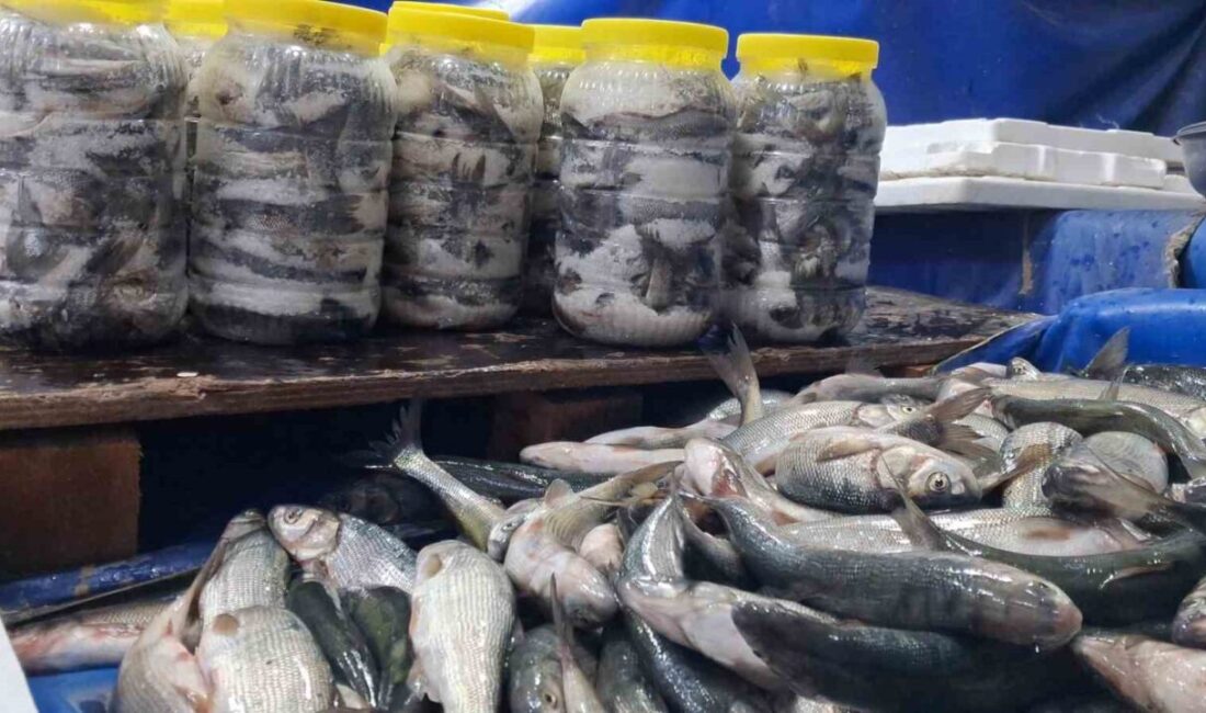 Van Gölü'nün endemik inci kefali, havaların soğumasıyla birlikte tezgahları süslüyor.