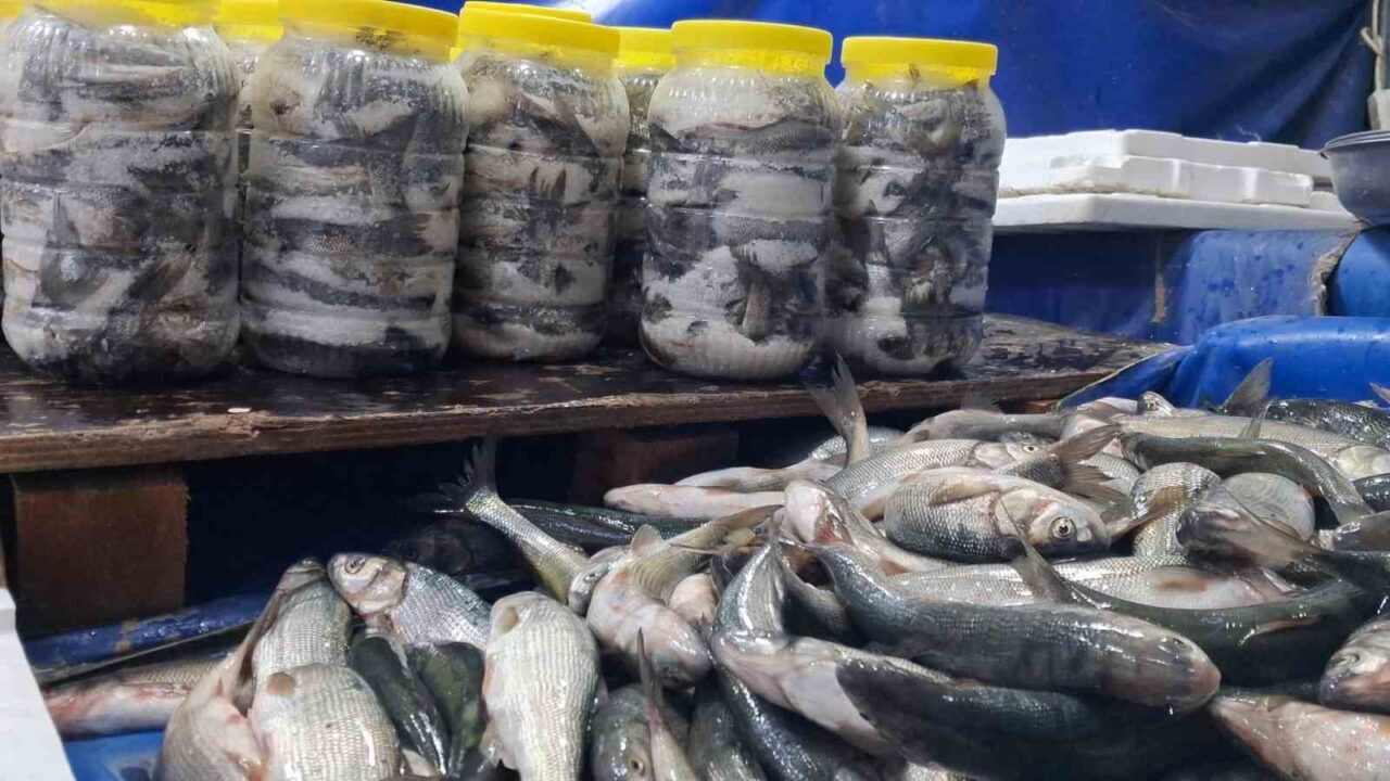 İnci Kefali, Soğuyan Havalarda Tezgahlarda Yerini Alarak Vatandaşların İlgi Odağı Oldu