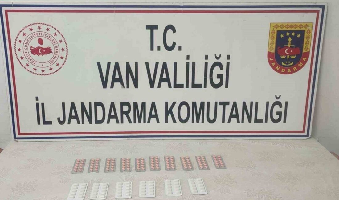 Van'ın Başkale ilçesinde jandarma, İran uyruklu B.D. (27) isimli şahsın