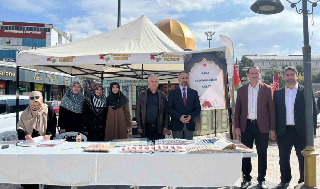 Van İl Müftülüğü, Mevlid-i Nebi etkinlikleri çerçevesinde Beşyol mevkiinde hat