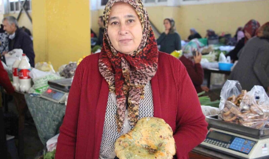 Bolu'da, son yağışlar sonrası ormanlarda bolca bulunan kanlıca mantarları, vatandaşlar